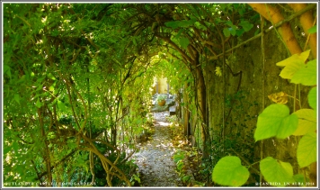 Castle Leoch Gardens, trellis tunnel where Geillis enters to meet Claire.